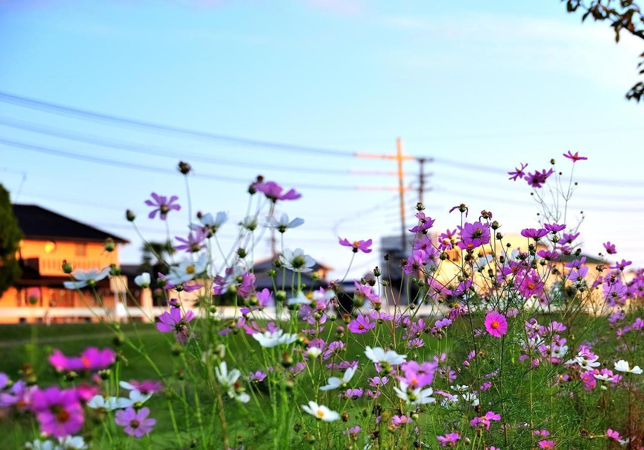 Guest House Kusunoki（Women Only） Fukuyama Exterior foto